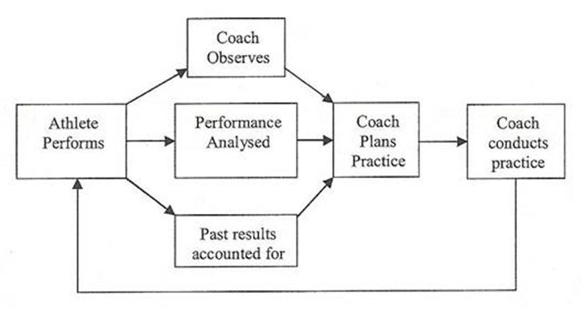 Figure 1: The Coaching Process